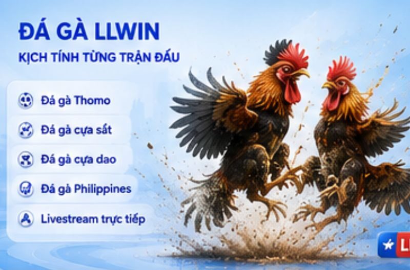 Đá gà LLWIN – Kịch tính từng trận đấu