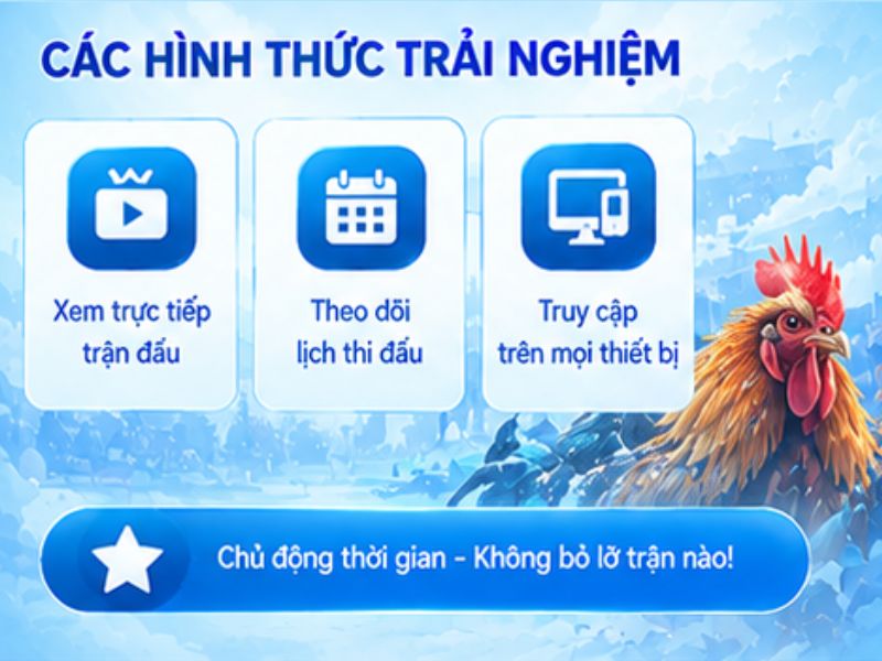 Các Hình Thức Trải Nghiệm Đá Gà Cựa Sắt Tại LLWIN