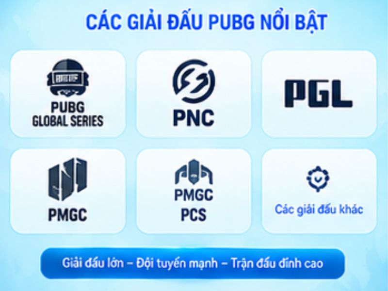 Các giải đấu PUBG nổi bật