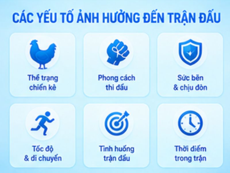 Các yếu tố cần quan sát khi theo dõi đá gà đòn LLWIN