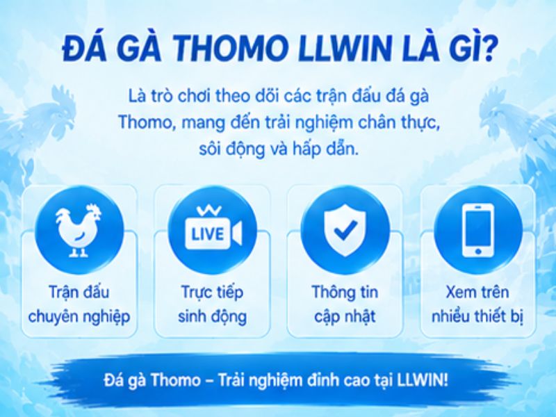 Đá Gà Thomo LLWIN Là Gì