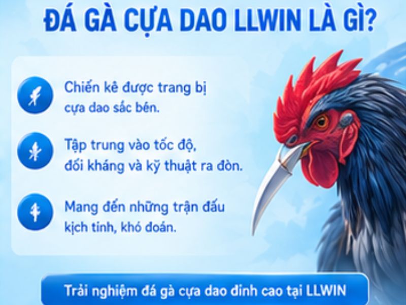 Đá gà cựa dao LLWIN là gì