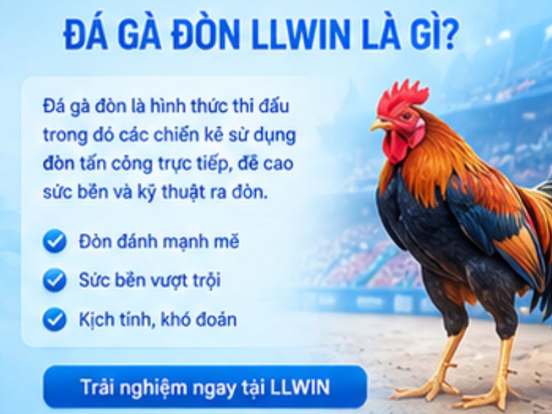 Đá gà đòn LLWIN là gì?