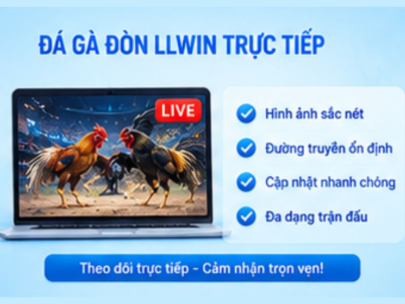 Đá gà đòn LLWIN trực tiếp có gì hấp dẫn