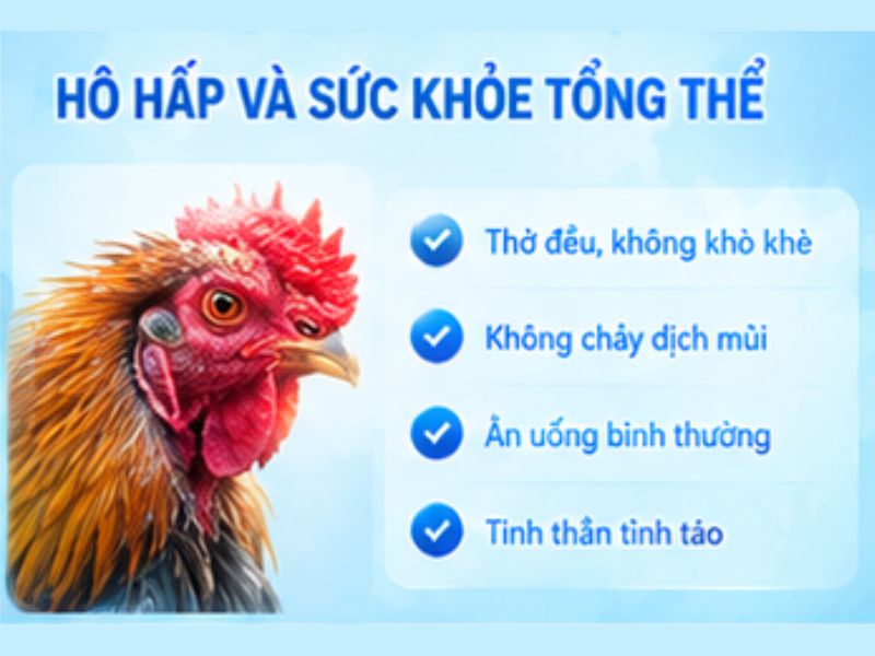 Kiểm tra hô hấp