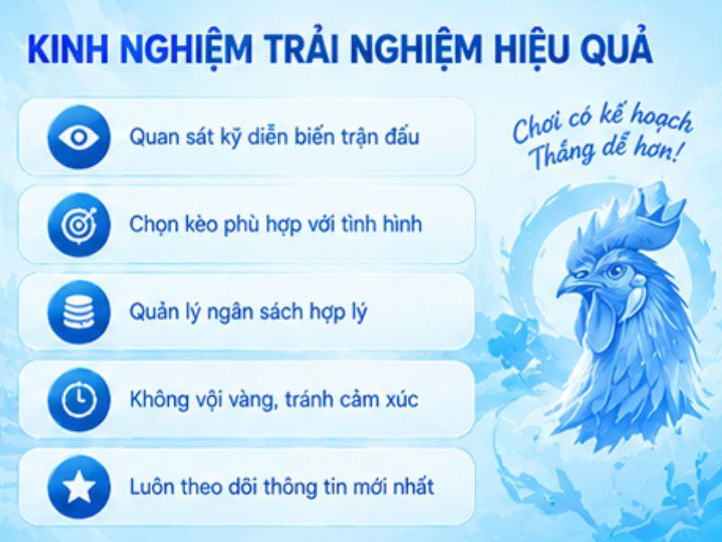 Kinh Nghiệm Theo Dõi Đá Gà Thomo LLWIN