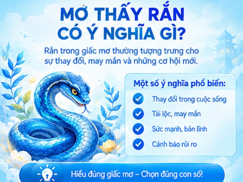 Mơ Thấy Rắn Có Ý Nghĩa Gì