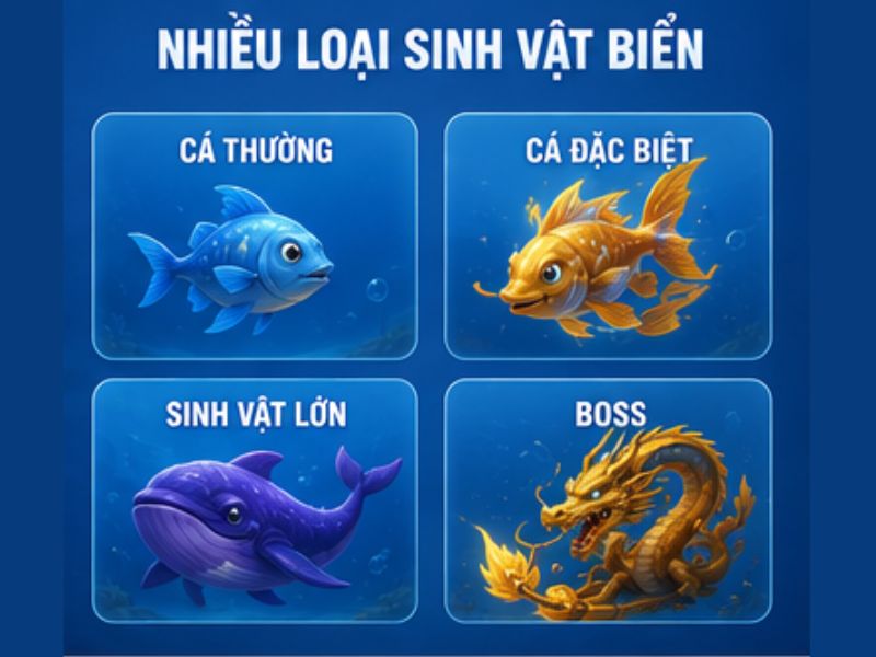 Nhiều loại sinh vật biển