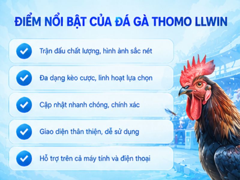 Những Điểm Đáng Chú Ý Khi Theo Dõi Đá Gà Thomo LLWIN