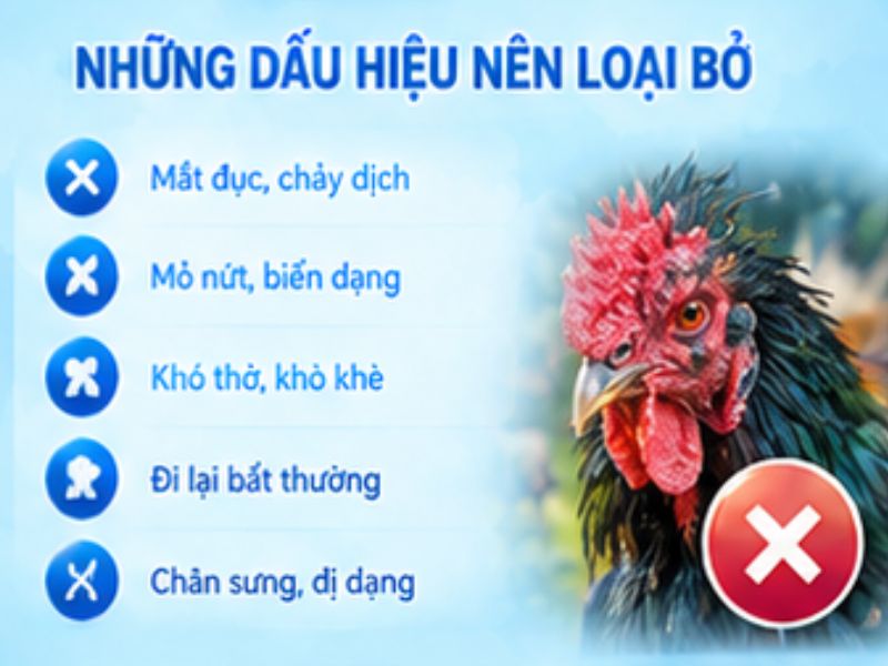 Những dấu hiệu nên loại khỏi danh sách lựa chọn