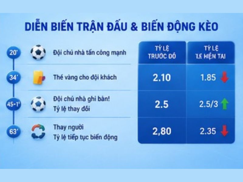 Theo dõi cả trận đấu thay vì chỉ nhìn tỷ lệ