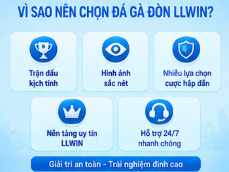 Vì sao đá gà đòn LLWIN thu hút người chơi
